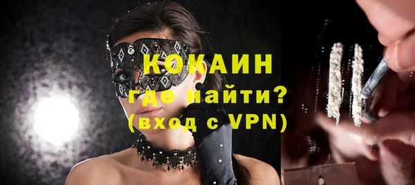 прущие грибы Каменка