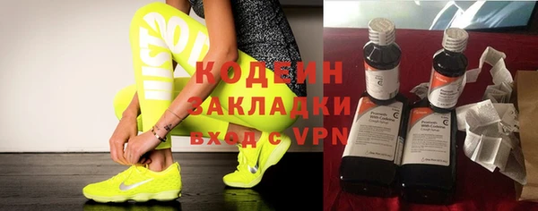 прущие грибы Каменка