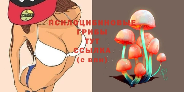 гашиш Карпинск