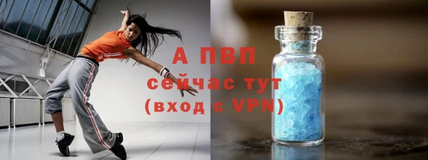 прущие грибы Каменка