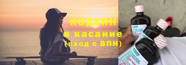 прущие грибы Каменка