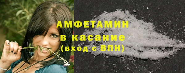 прущие грибы Каменка