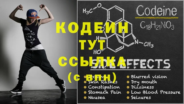 прущие грибы Каменка