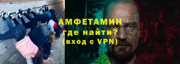 прущие грибы Каменка